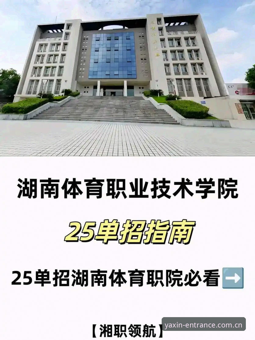 亚新体育平台崩溃 亚新体育平台崩溃修复指南:2025最新稳定入口与访问方案详解